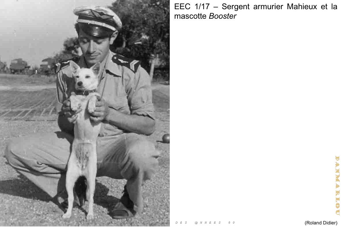 158 - ARMEE DE L'AIR EN ALGERIE 1945-1962-6 (21).jpg